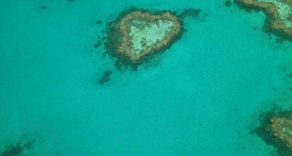 Das Heart Reef